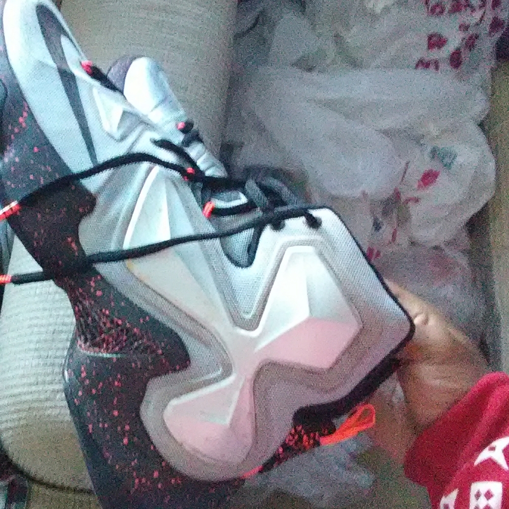 LeBron - Picture 3 of 4